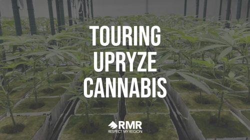 upryze cannabis tour