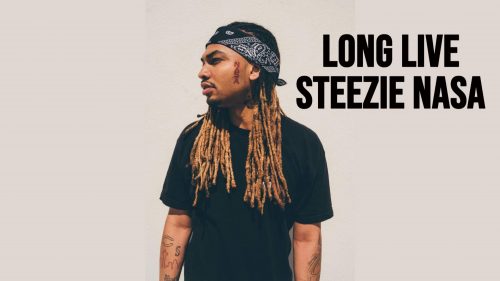 long live steezie nasa