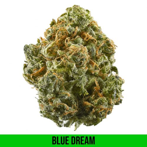 Classic Weed Strains 2025: 20 Legendary Cultivars That Shaped Cannabis Culture