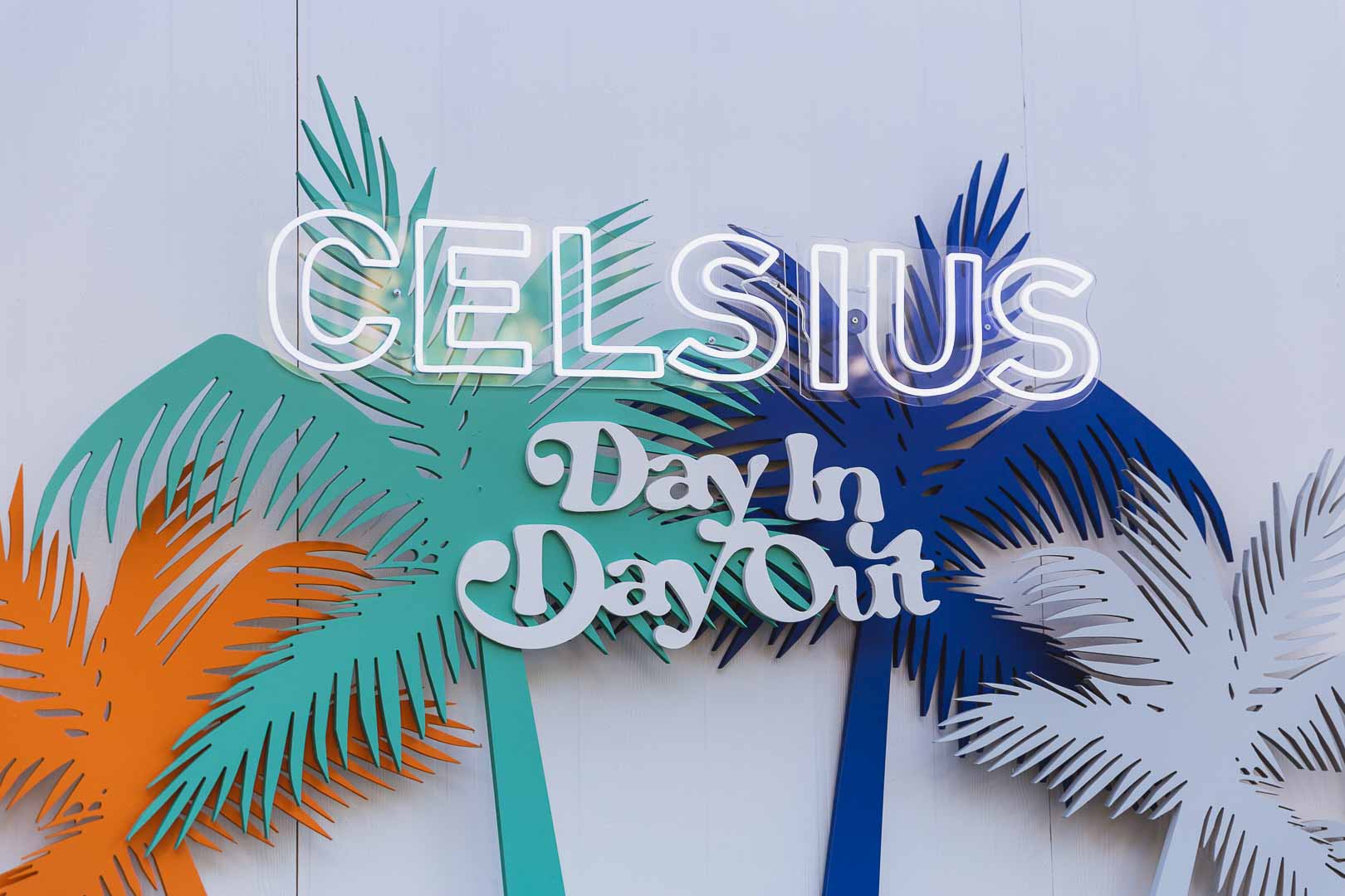 Celsius was the official sponsor of the Day In Day Out Festival in 2023.