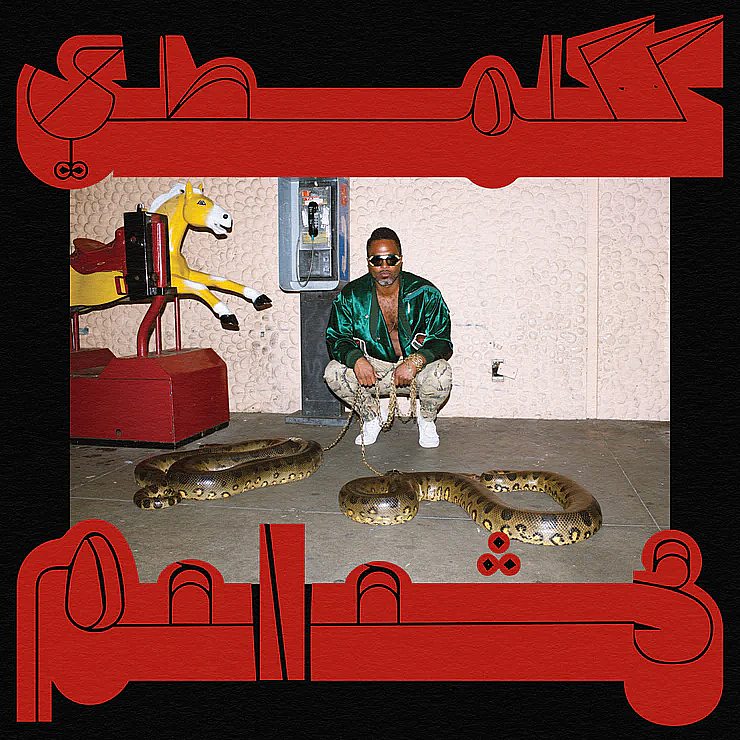 shabazz palaces robed in rareness