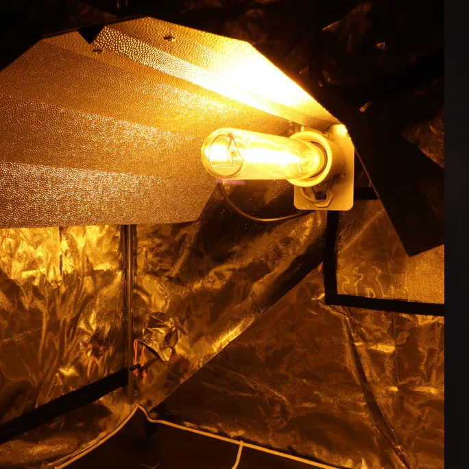 HPS_Vs_LED_thumb_21478505-1257-4098-82c1-dafb1cbd45ae_1216x704