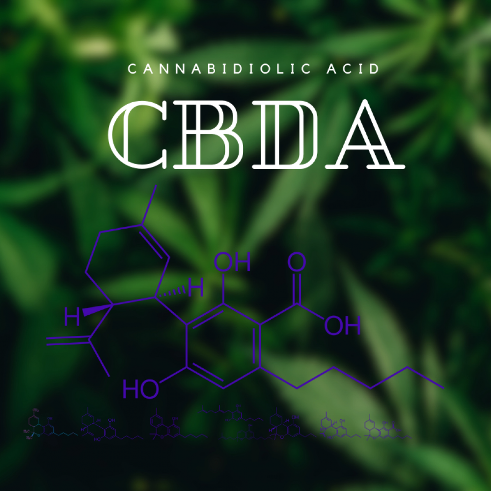 Cannabidiolic-Acid-molecular-formula-CBDA-cannabinoids