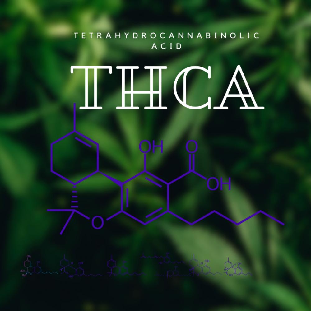 Tetrahydrocannabinolic-Acid-molecular-formula-THCA-cannabinoids