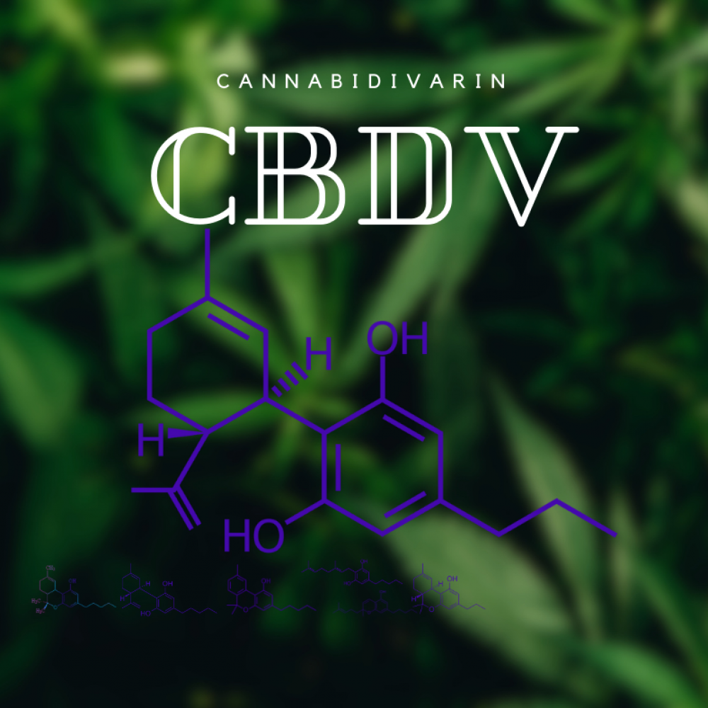 Cannabidivarin-molecular-formula-CBDV-cannabinoids