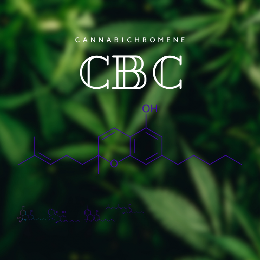 Cannabichromene-molecular-formula-CBC-cannabinoids