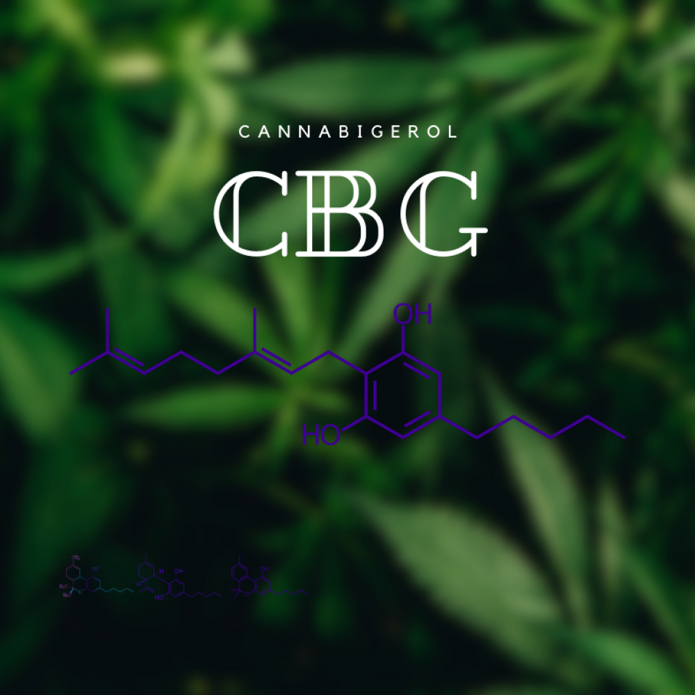 Cannabigerol-molecular-formula-CBG-cannabinoids