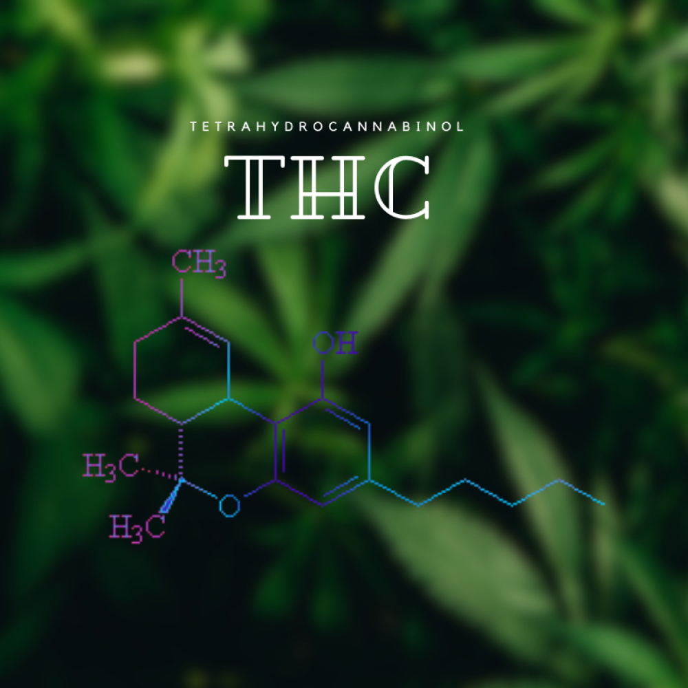 Tetrahydrocannabinol-molecular-formula-THC-cannabinoids