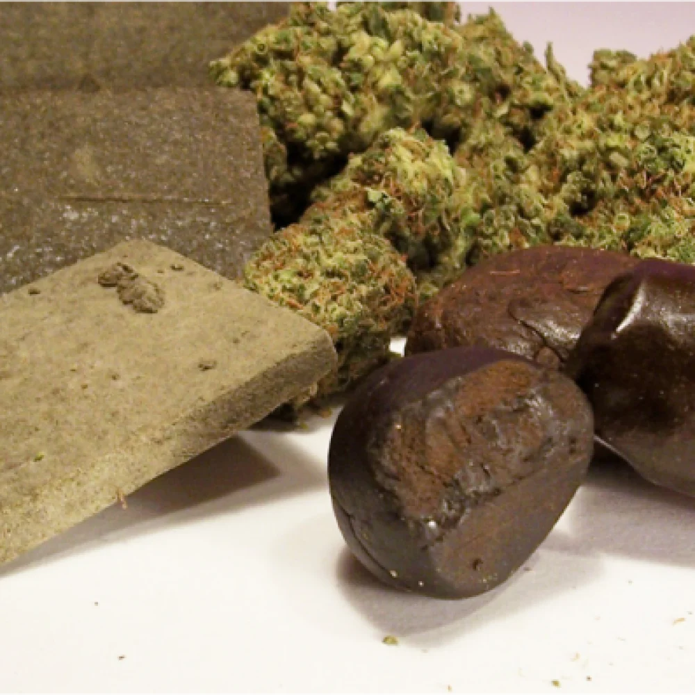 2fast4buds/everything-you-need-to-know-about-hash