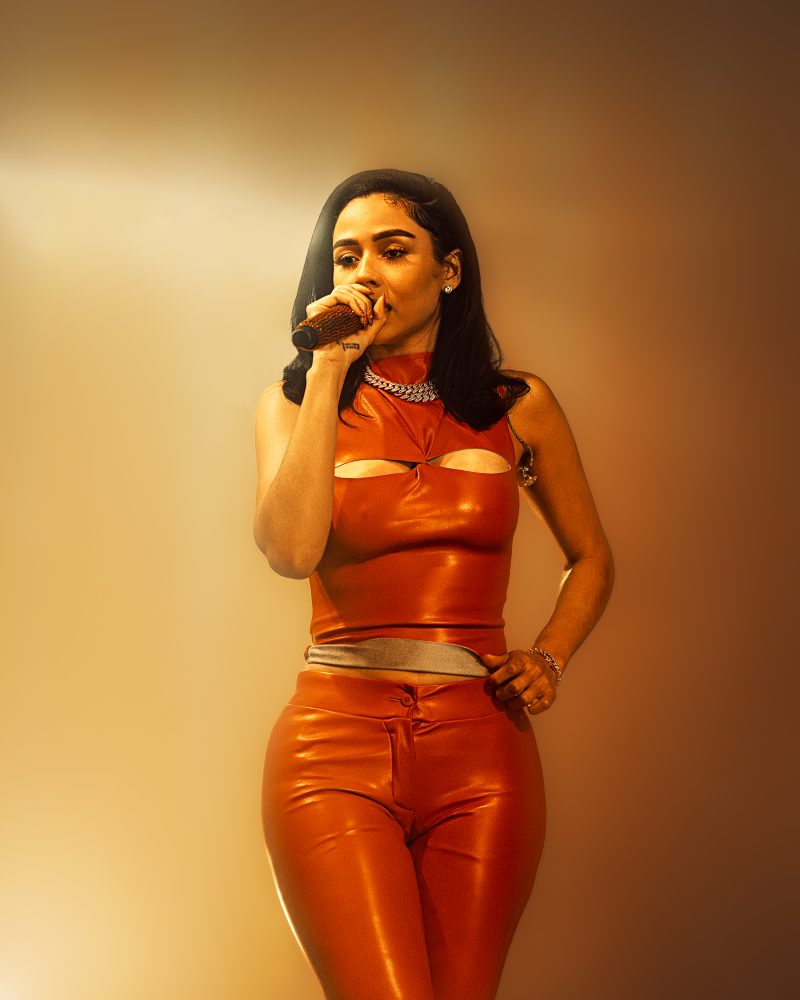 サミットインターナショナルリリーホットスリマー　難あり サミットインターナショナルリリーホットスリマー 難あり