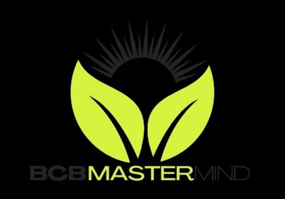 Building Success Through Strategic Skills in the BCB Mastermind