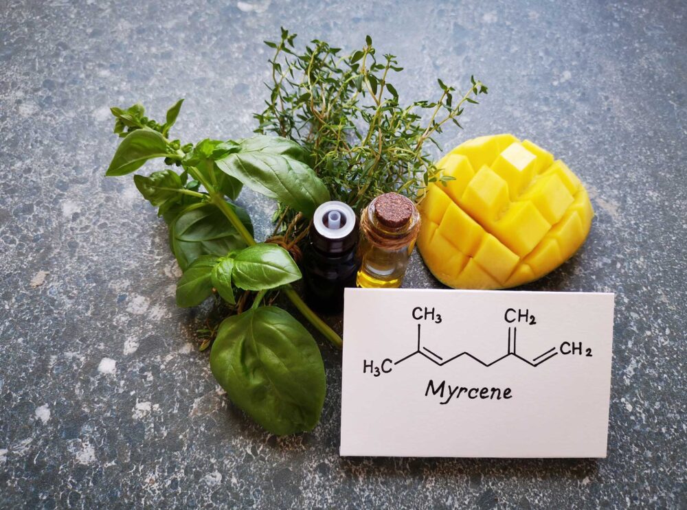 Terpenes: myrcene descriptive photo