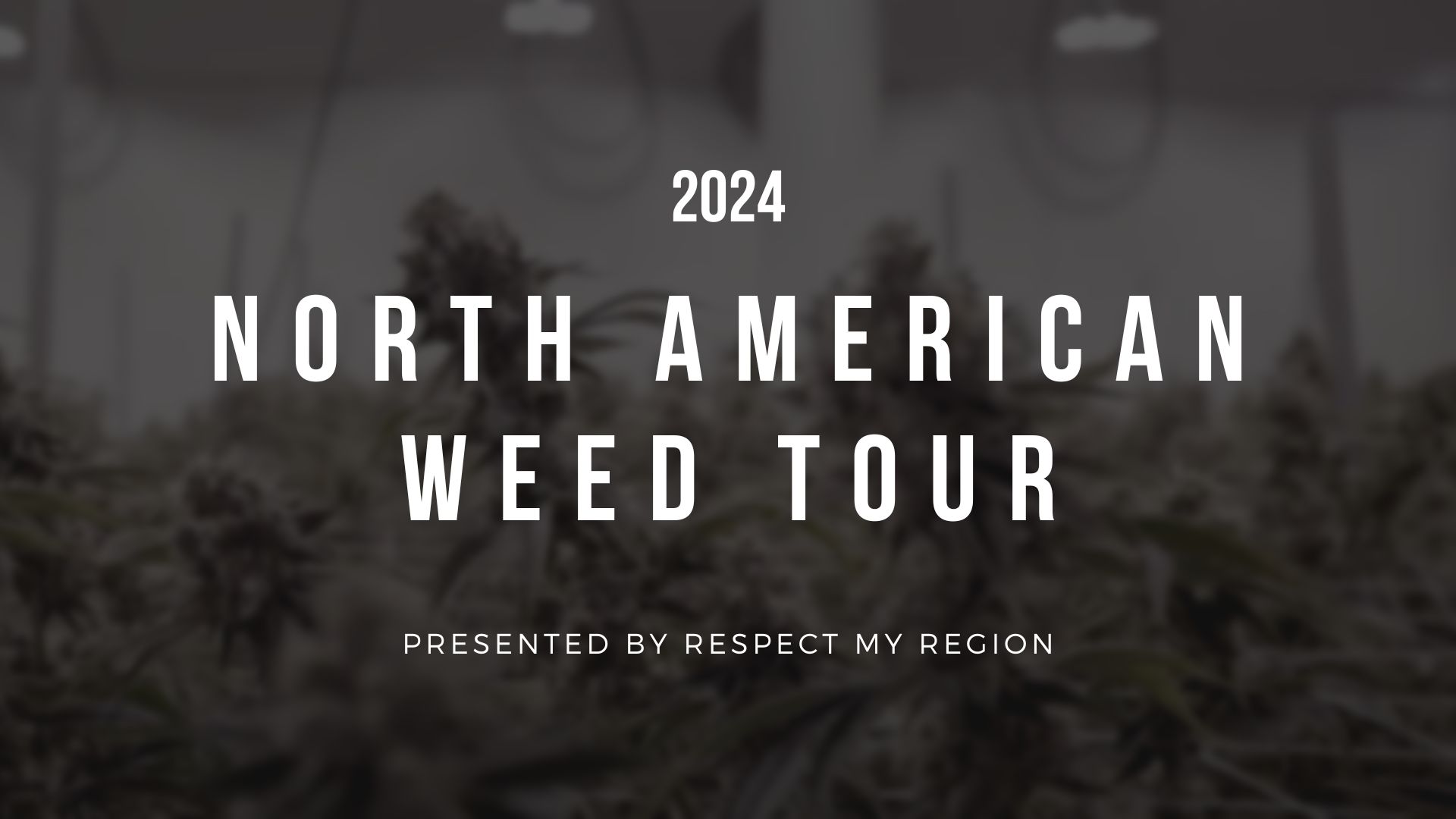 Respect My Region Launches Third Annual North American Weed Tour Searching For The Best ‘Legal’ Cannabis In The U.S., Mexico, And Canada 