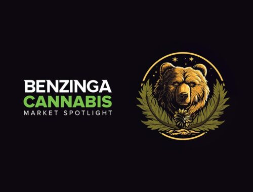 Benzinga cannabis market spotlight