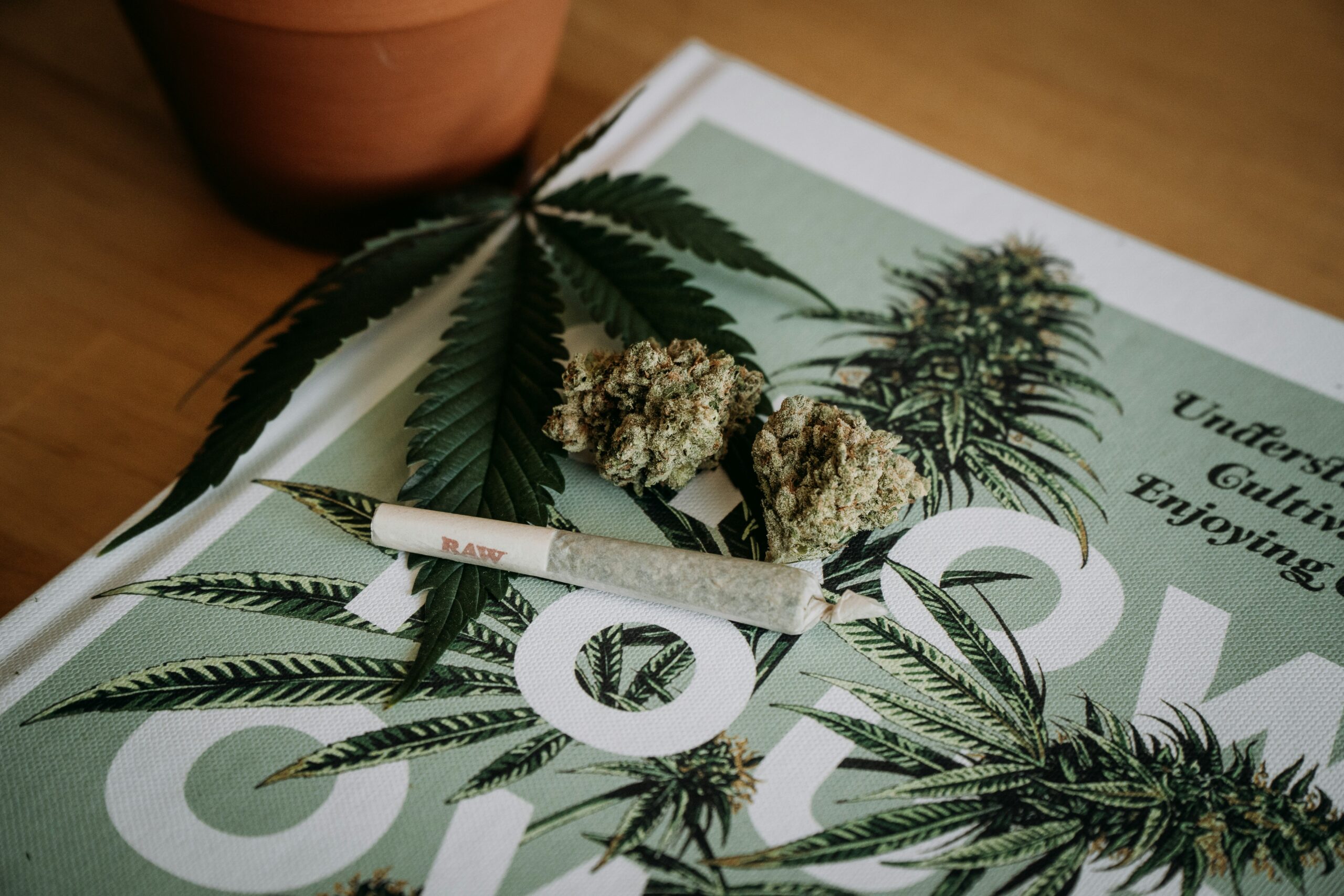 Staying in Front of Your Customers: Maximizing Cannabis Advertising Impact - photo by shelby ireland on unsplash