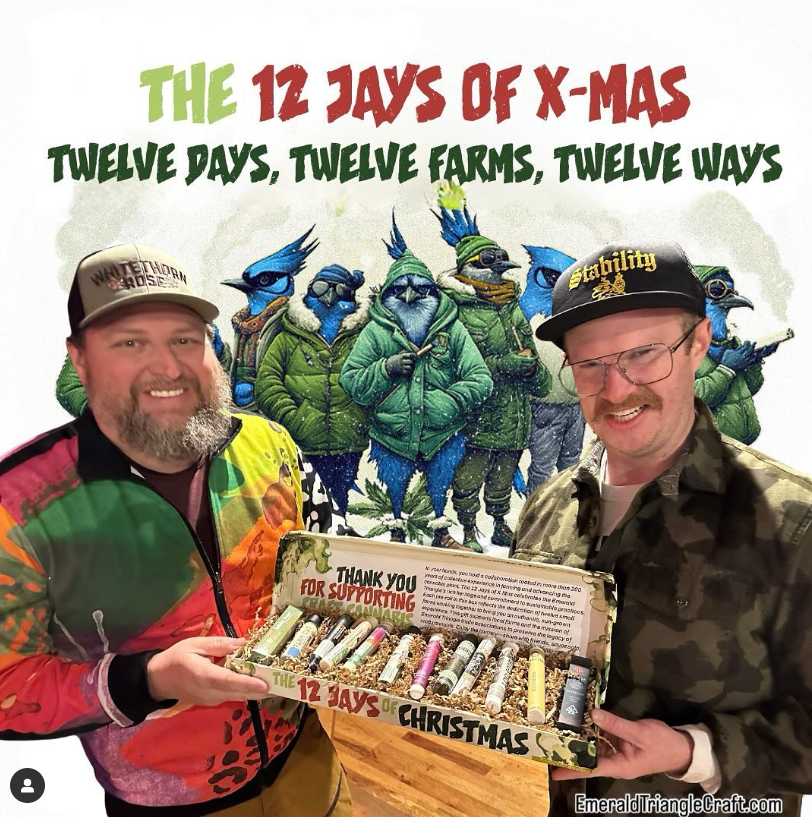 12 Jays of Christmas