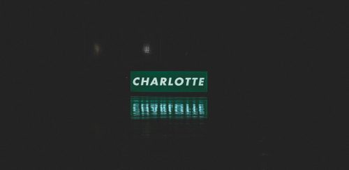 Will LaMelo Ball Lead the Hornets to the Playoffs? Charlotte's Hopes, Betting Odds, and What Comes Next Photo by Alex Ware on Unsplash