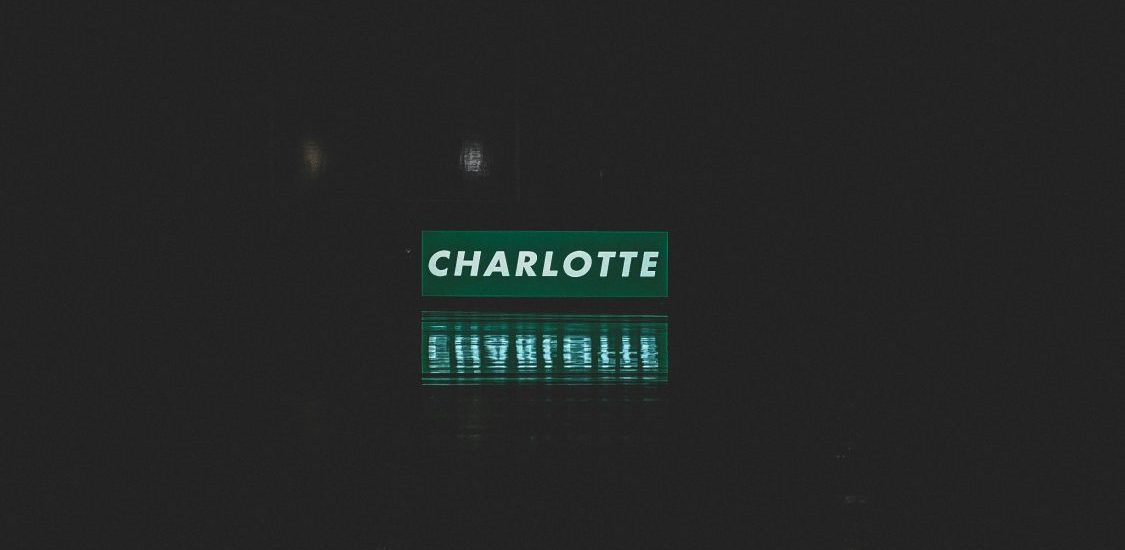 Will LaMelo Ball Lead the Hornets to the Playoffs? Charlotte's Hopes, Betting Odds, and What Comes Next Photo by Alex Ware on Unsplash