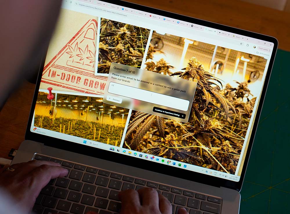 TOQi Launches TOQidex, Bringing Real Consumer Insights to Cannabis Sampling