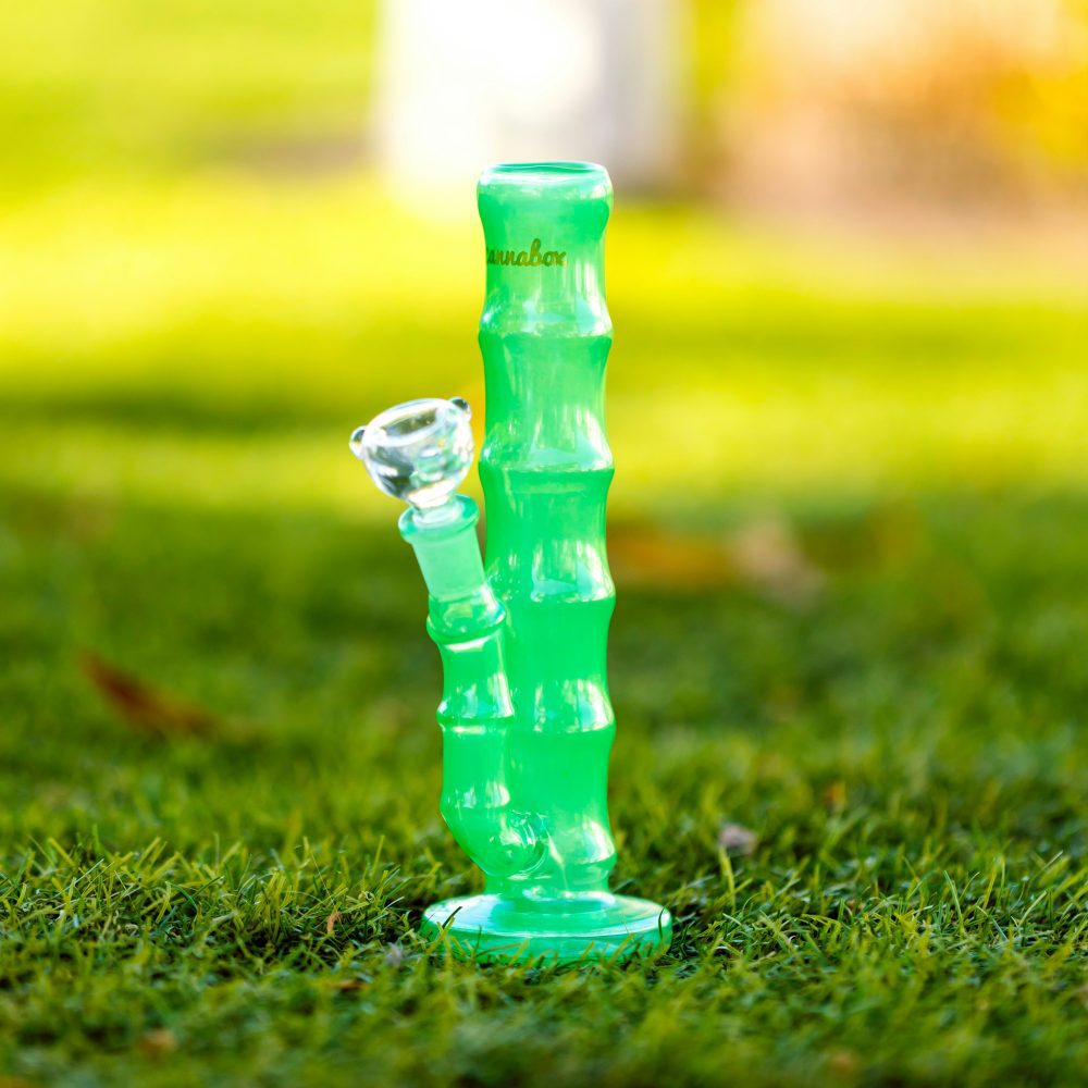 Exploring Different Types of Bongs: Beaker, Straight Tube, and Recycler-----Photo by Cannabox on Unsplash

