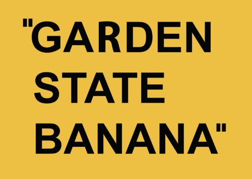 The Best Cannabis Strains in New Jersey 2025