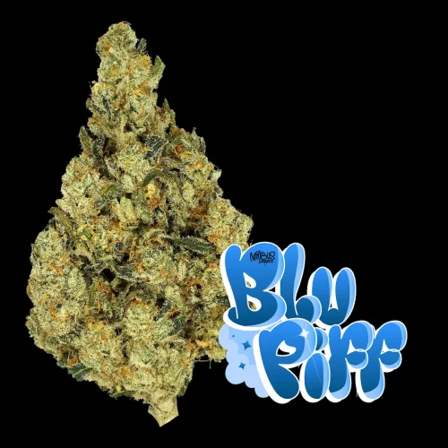 The Piff Strain: East Coast Cannabis History, Genetics, and Culture