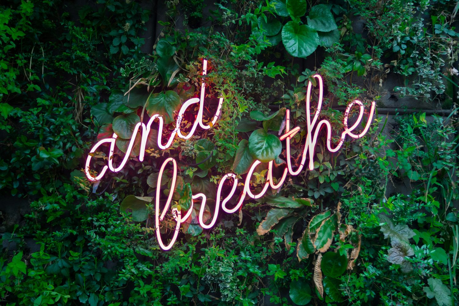 Mindful Luxury in 2025: When Wellness Became the New Status Symbol----Photo by Max van den Oetelaar on Unsplash