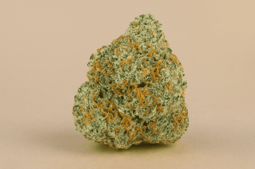 The San Fernando Valley OG Strain (SFV OG): A Lemon-Fueled California Classic That Redefined the OG Era