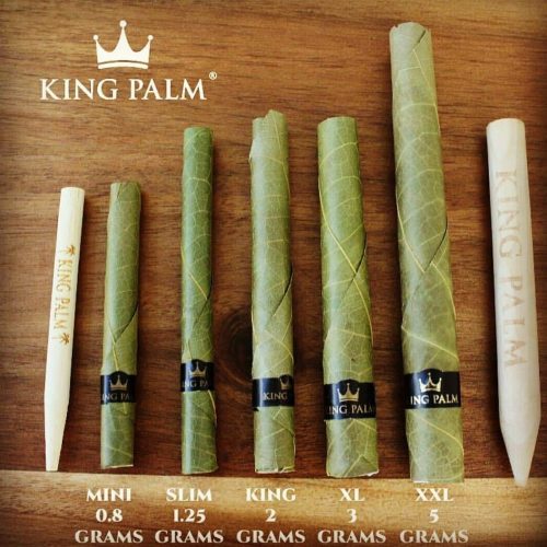 King Palm Delivers Reliable Smoking Products Like Stuffable Leaf Cones and Flavored Tips