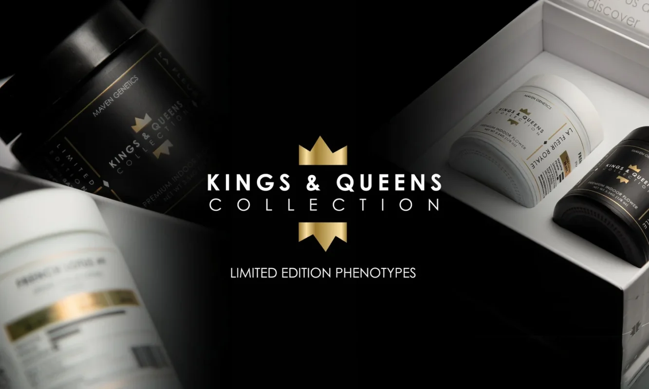 Maven Genetics and the California Craft That Keeps Their Flower Top Tier