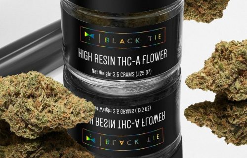 Blue Dream Strain Guide 2025: Effects, Benefits, and Where to Buy It