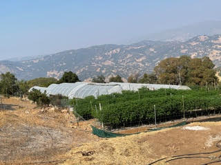 Yarrow Kubrin Built His Cannabis Real Estate Career From the Ground Up