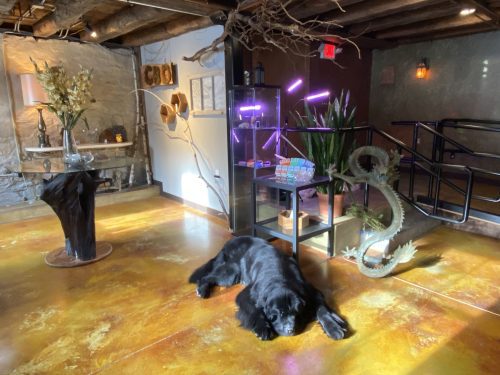 Egremont Dispensary Devine Cannabis Is Where Nature and Wellness Align in the Berkshires