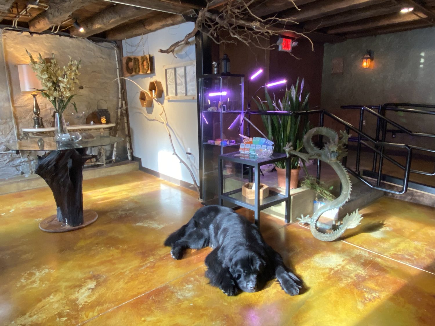 Egremont Dispensary Devine Cannabis Is Where Nature and Wellness Align in the Berkshires