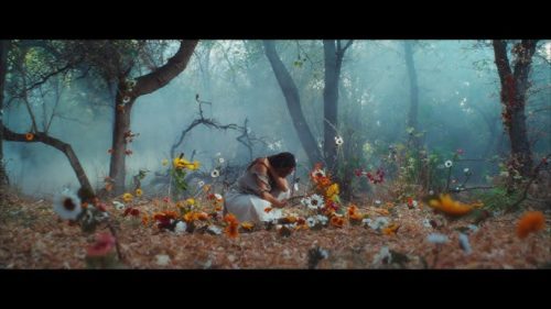 Of The Trees Returns With “Dolori” and Opens the Door to the Moonglade Park Era