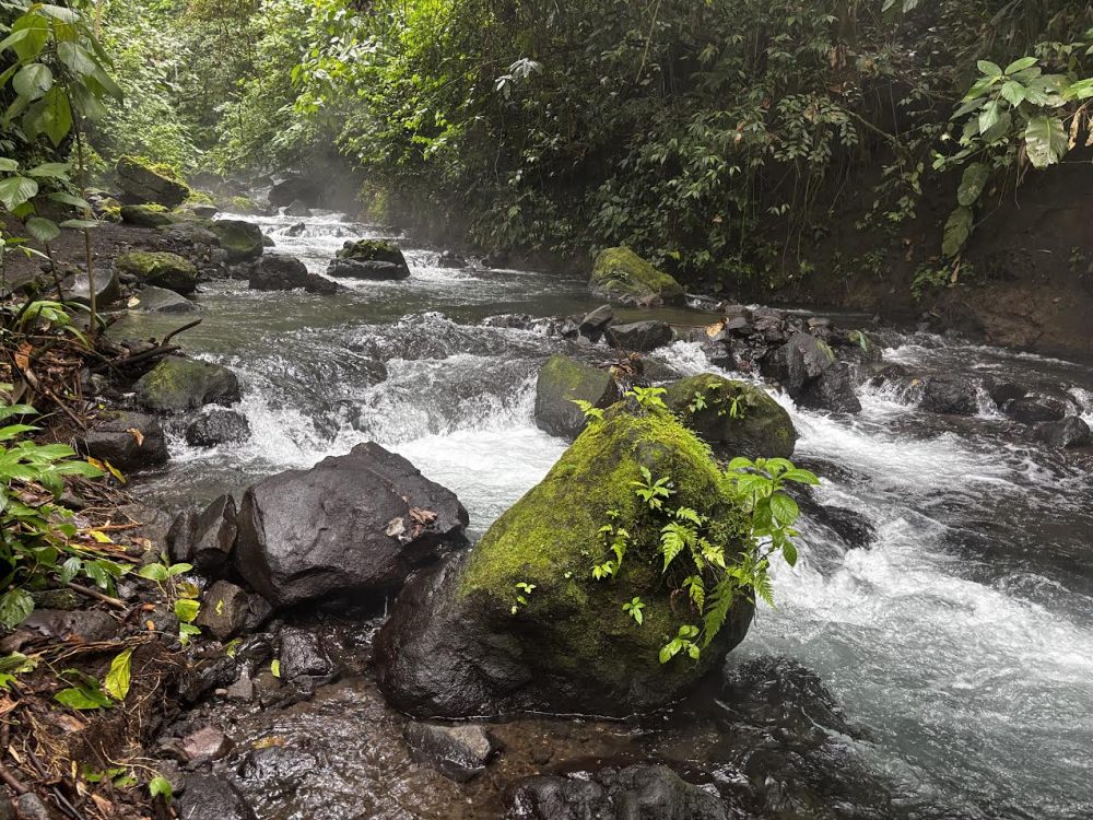 Hot Springs Pura Vida: A Chill, Affordable Thermal Escape in La Fortuna, Costa Rica -- photo by genesis rojas sanchez