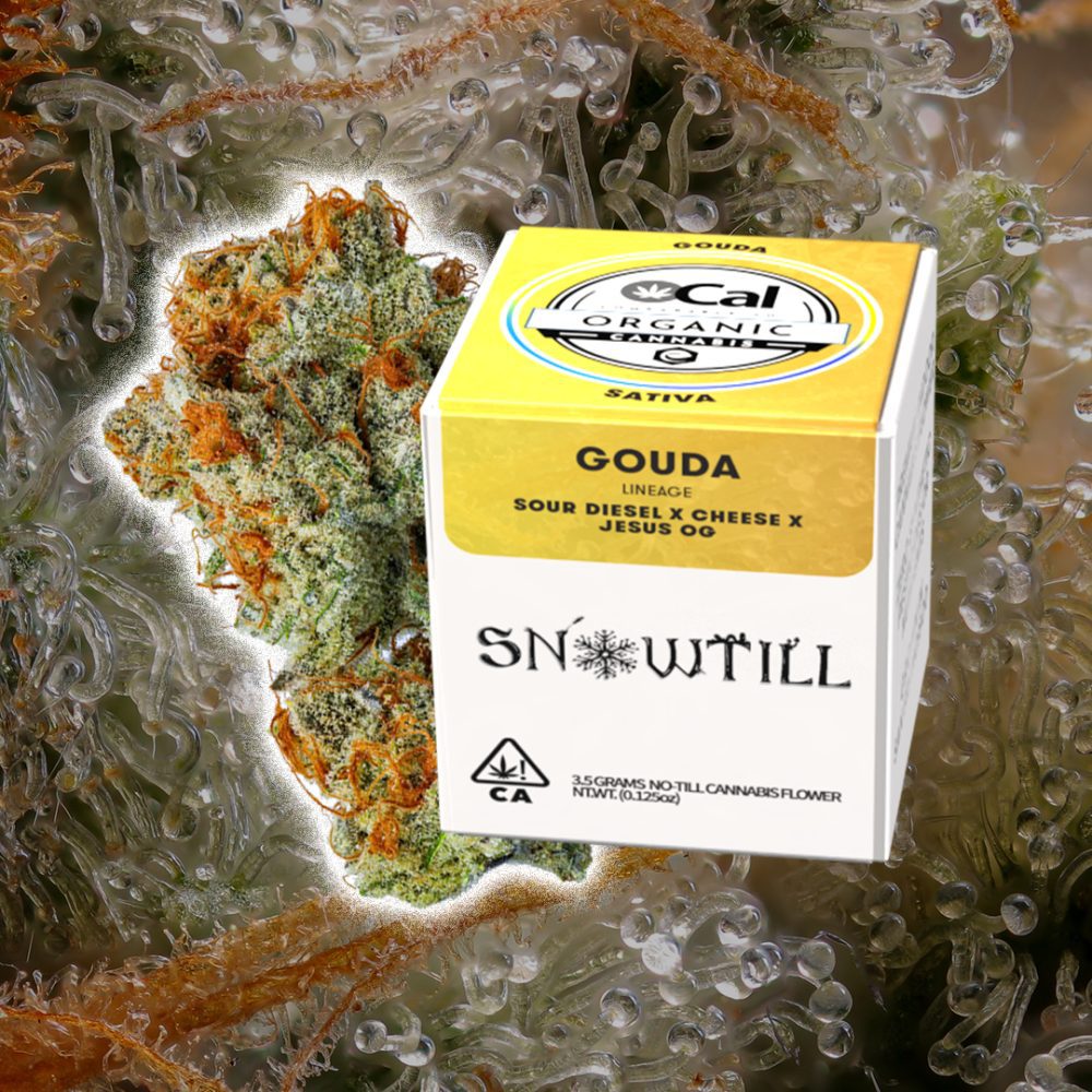 Snowtill Indoor Cannabis Is Some of The Best from San Francisco