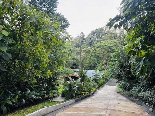 Hot Springs Pura Vida: A Chill, Affordable Thermal Escape in La Fortuna, Costa Rica -- photo by genesis rojas sanchez