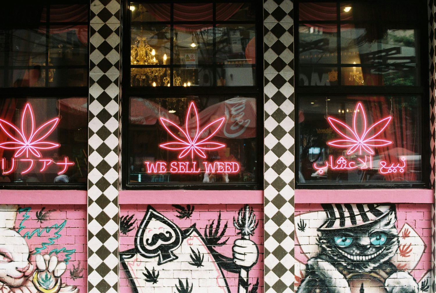 Cannabis in Thailand in 2026: Reform, Regulation, and the Reality Behind the Headlines --- Photo by Phương Anh on Unsplash
