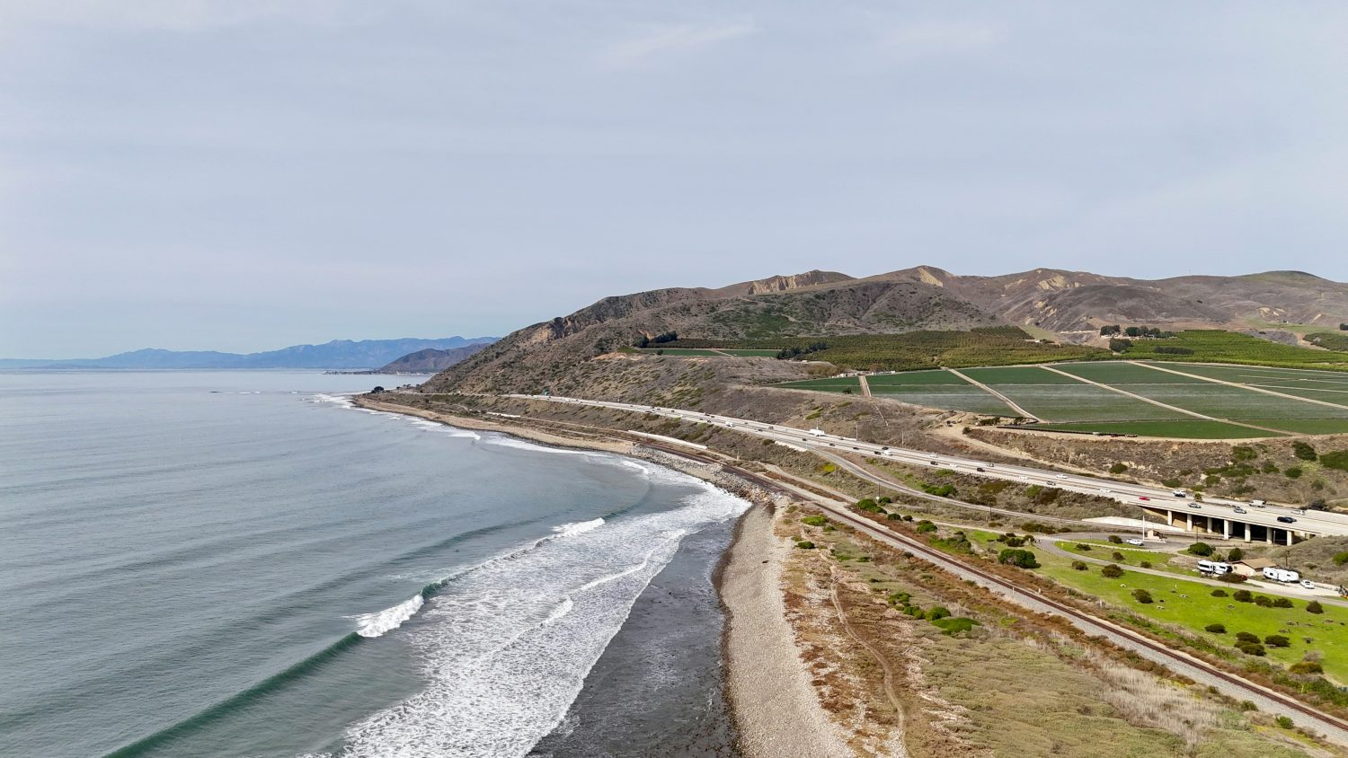 Hall of Flowers Ventura 2026 Delivered One of the Most Productive Weeks in Cannabis --- Photo by Rodrigo Kammer on Unsplash
