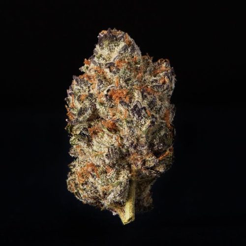 Most Popular Weed Strains for 420 - 2026 - photo of zoap strain by preferred gardens