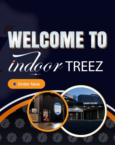 Indoor Treez Opens Dispensary in Fort Lee as GW Leaf Converts: What’s on the Menu Right Now