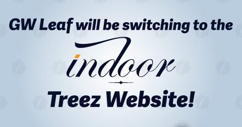 Indoor Treez Opens Dispensary in Fort Lee as GW Leaf Converts: What’s on the Menu Right Now