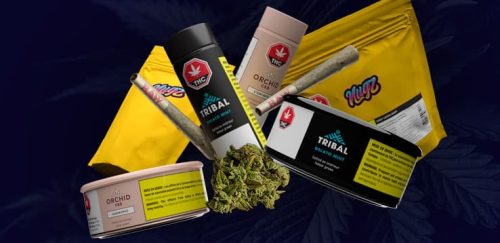 Cannara Biotech Is One of Canada's Most Impressive Cannabis Companies