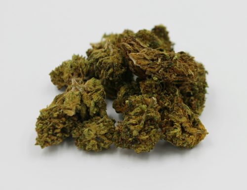 The Rise of THCA: Understanding How We Got Here - Photo by Dominique Stueben on Unsplash