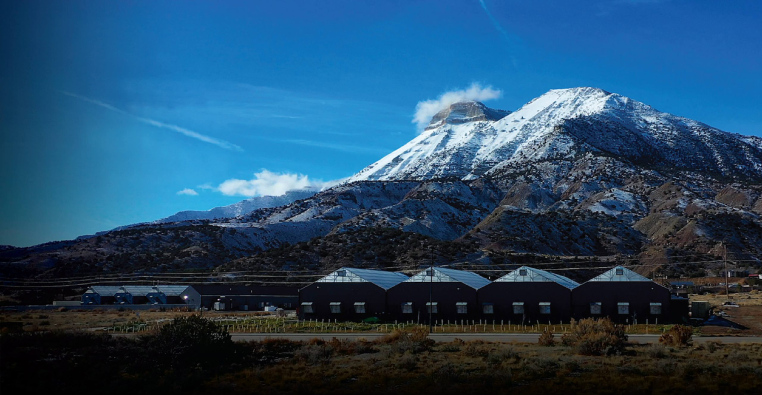 Edun Aims To Grow The Cleanest Cannabis on Earth For Rosin and RSO