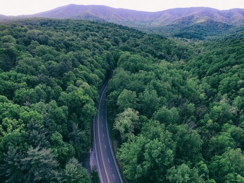 Governor's Cannabis Bill Veto Just Sent Shockwaves Through Virginia’s Weed Industry - Photo by Aaron Burden on Unsplash