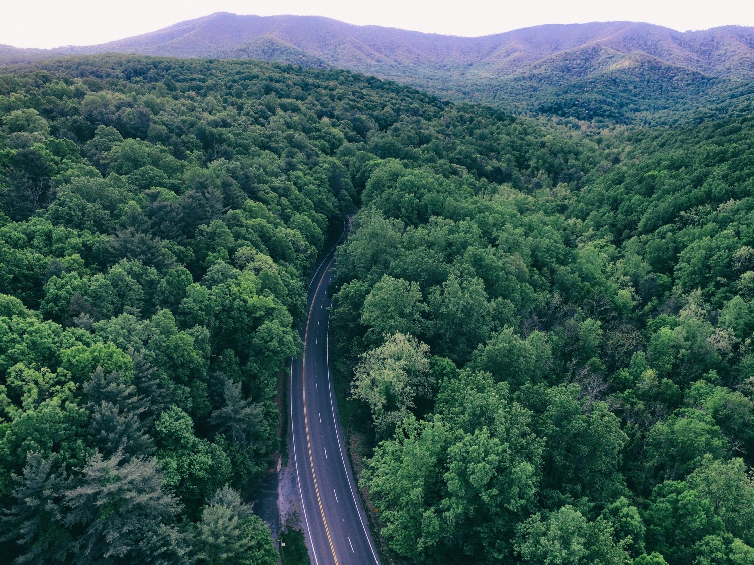 Governor's Cannabis Bill Veto Just Sent Shockwaves Through Virginia’s Weed Industry - Photo by Aaron Burden on Unsplash