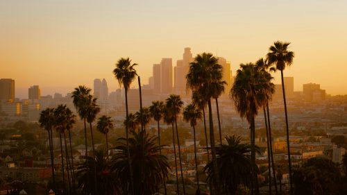 The "Culture First" Retailer: Why Community is the Ultimate Factor for Dispensaries in 2026 - photo by cedric letsch on unsplash