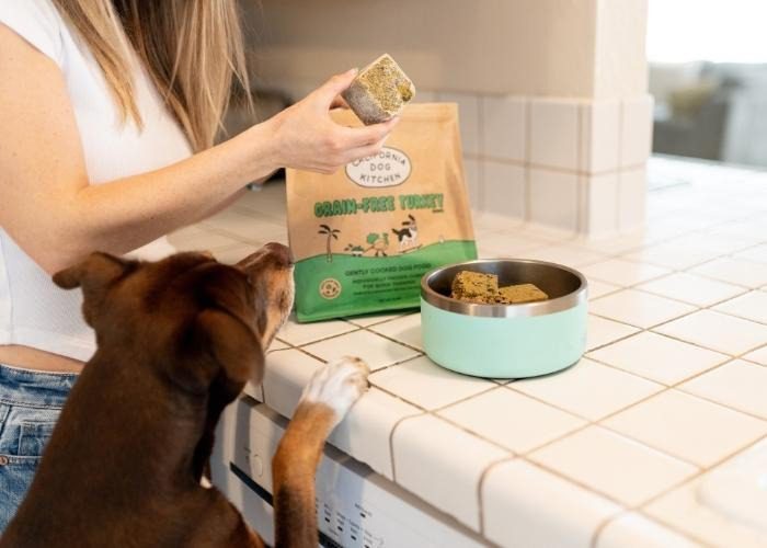 Why More Vets Are Talking About Fresh Cooked Dog Food -